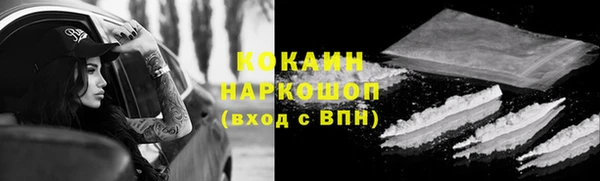 ГАЛЛЮЦИНОГЕННЫЕ ГРИБЫ Горно-Алтайск