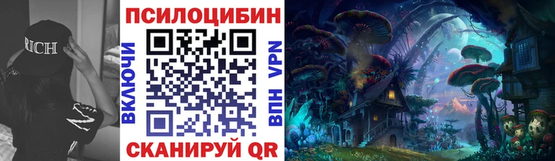 Купить закладки  Шахунья  Псилоцибиновые грибы прущие грибы 