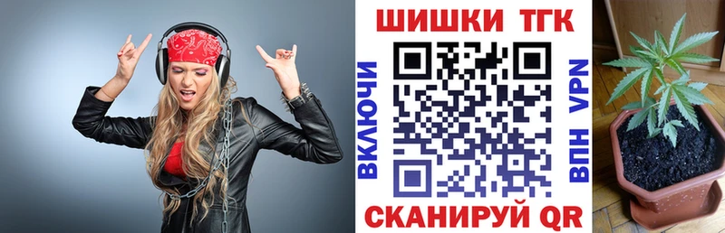 Конопля планчик  Купить закладки  Шахунья 